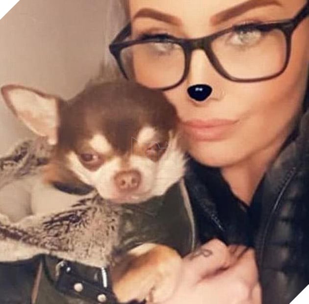 Người phụ nữ đau khổ kể chuyện tận mắt nhìn hải âu khổng lồ tha chó cưng chihuahua đi ngay trong sân nhà