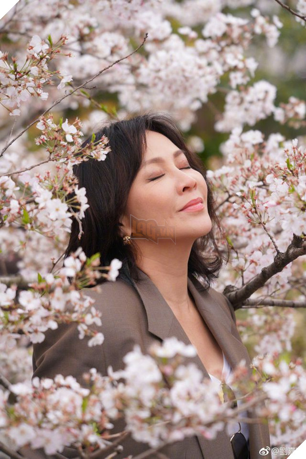 Lương Triều Vỹ - Nhân vật phản diện mới của của MCU là ai? 9