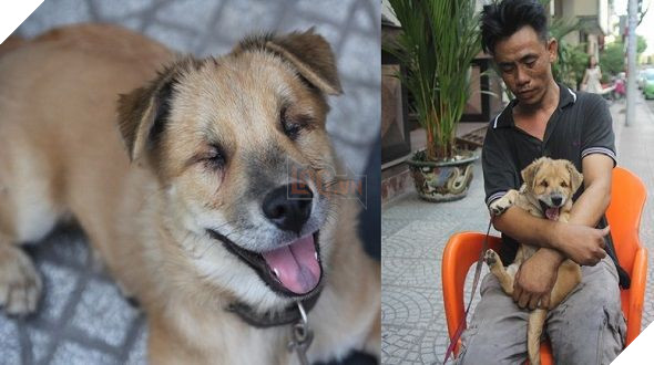 Cuộc sống hiện tại của anh đánh giày câm khi mất đi chú chó mù