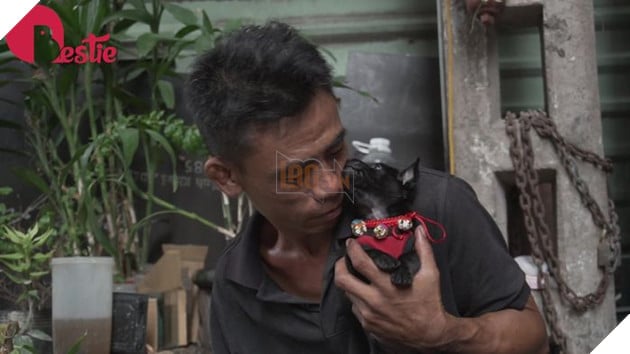 Cuộc sống hiện tại của anh đánh giày câm khi mất đi chú chó mù