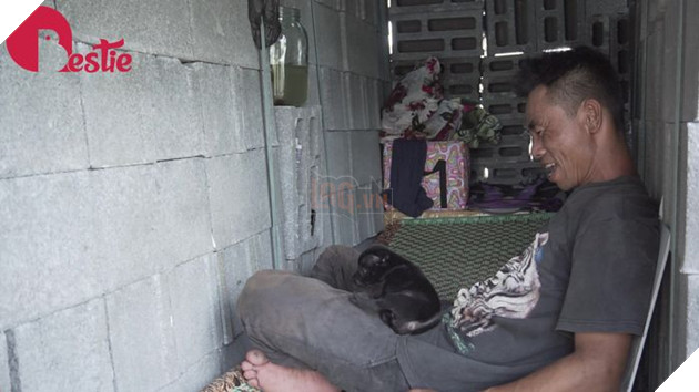 Cuộc sống hiện tại của anh đánh giày câm khi mất đi chú chó mù