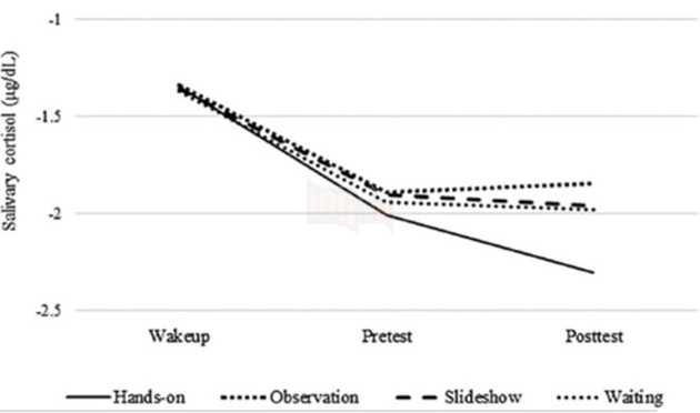 Các nhà nghiên cứu tiếp tục chứng minh: vuốt ve chó, mèo sẽ giúp sinh viên giảm căng thẳng 3
