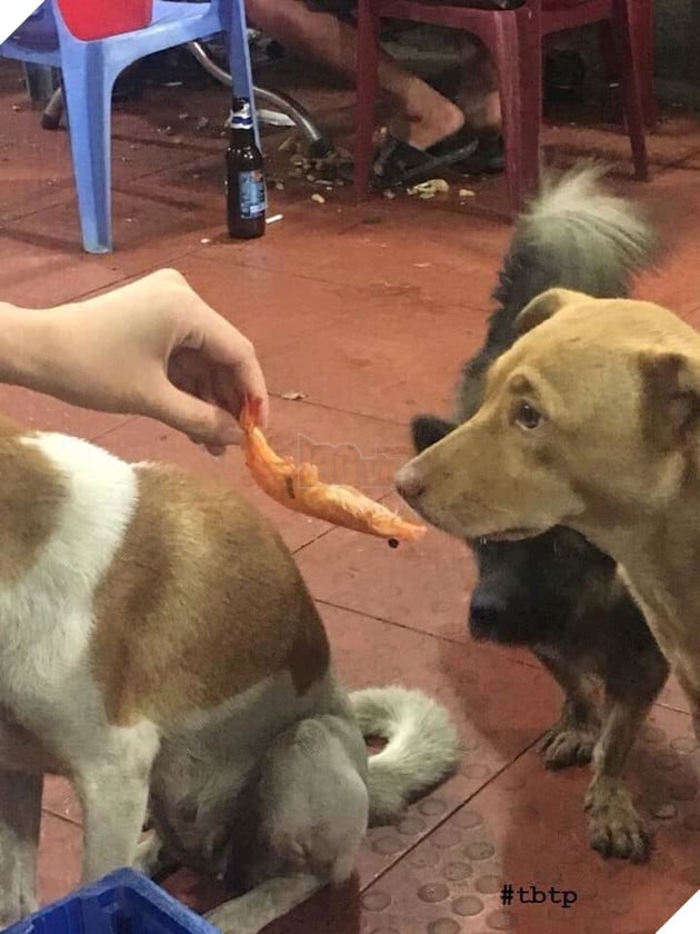  
Ánh mắt lạnh lùng khi vị khách chưa bóc tôm 