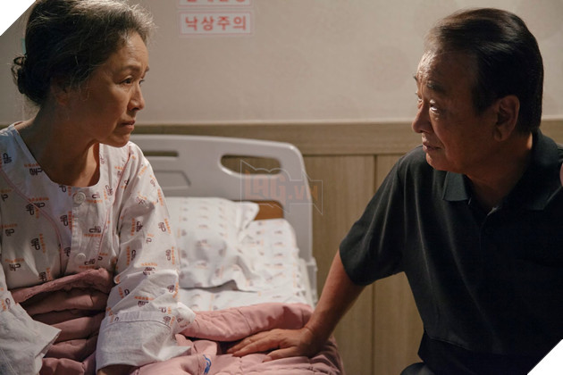 Điều ba mẹ không kể: Cuộc đời thật đẹp khi có một người cùng ta già đi 16