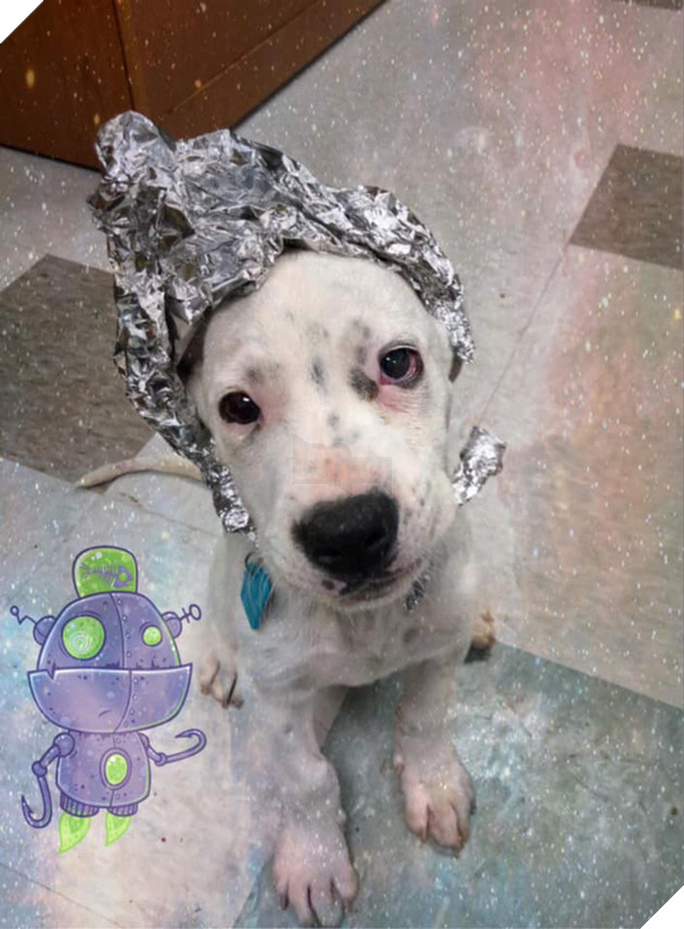 Kế hoạch &quot;Đột nhập V&#249;ng 51 tuyệt mật&quot; đi&#234;n rồ v&#224; ngớ ngẩn của cư d&#226;n mạng Mỹ bất ngờ đem lại một c&#225;i kết vi&#234;n m&#227;n đến kh&#243; tin - Ảnh 2.