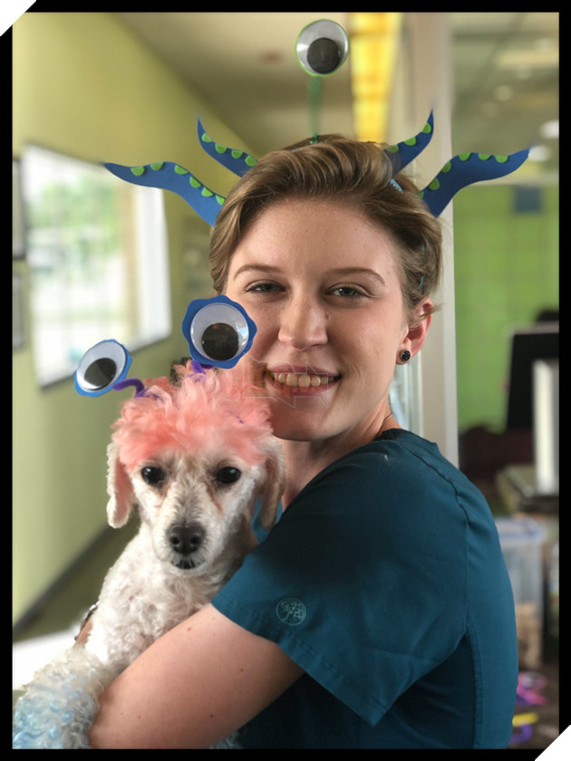 Kế hoạch &quot;Đột nhập V&#249;ng 51 tuyệt mật&quot; đi&#234;n rồ v&#224; ngớ ngẩn của cư d&#226;n mạng Mỹ bất ngờ đem lại một c&#225;i kết vi&#234;n m&#227;n đến kh&#243; tin - Ảnh 3.