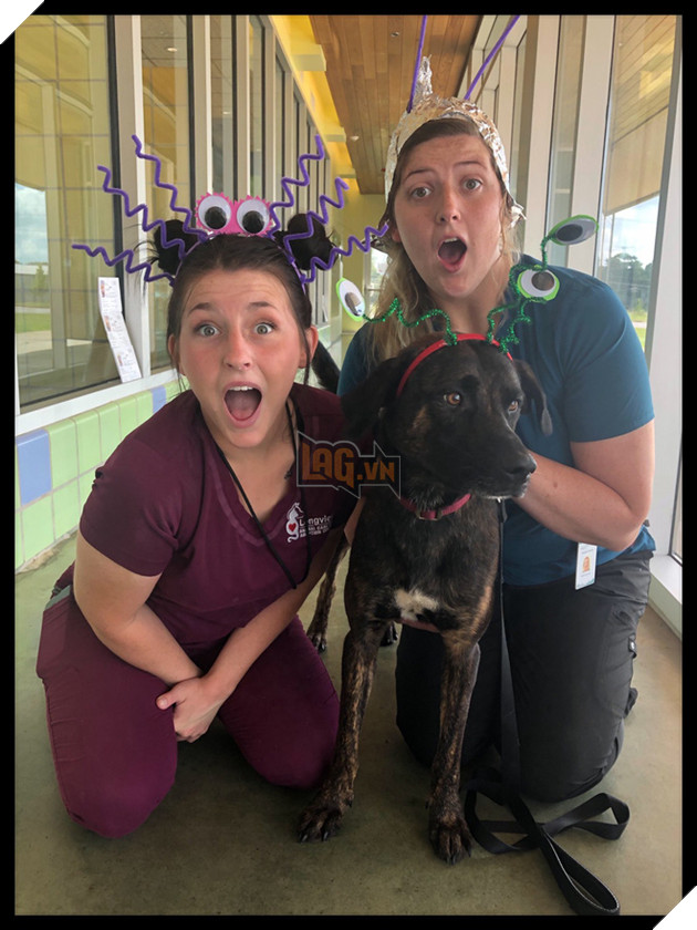 Kế hoạch &quot;Đột nhập V&#249;ng 51 tuyệt mật&quot; đi&#234;n rồ v&#224; ngớ ngẩn của cư d&#226;n mạng Mỹ bất ngờ đem lại một c&#225;i kết vi&#234;n m&#227;n đến kh&#243; tin - Ảnh 3.