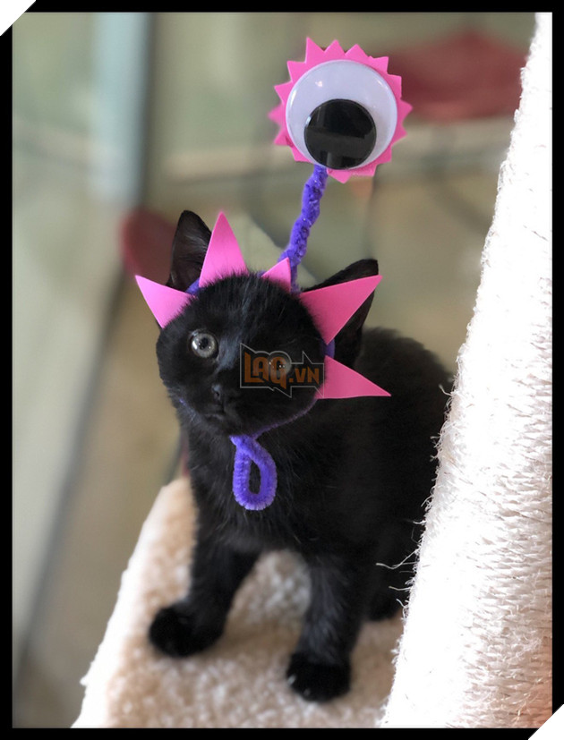 Kế hoạch &quot;Đột nhập V&#249;ng 51 tuyệt mật&quot; đi&#234;n rồ v&#224; ngớ ngẩn của cư d&#226;n mạng Mỹ bất ngờ đem lại một c&#225;i kết vi&#234;n m&#227;n đến kh&#243; tin - Ảnh 3.