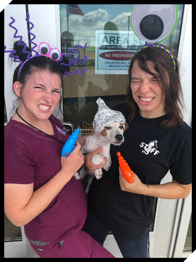 Kế hoạch &quot;Đột nhập V&#249;ng 51 tuyệt mật&quot; đi&#234;n rồ v&#224; ngớ ngẩn của cư d&#226;n mạng Mỹ bất ngờ đem lại một c&#225;i kết vi&#234;n m&#227;n đến kh&#243; tin - Ảnh 3.