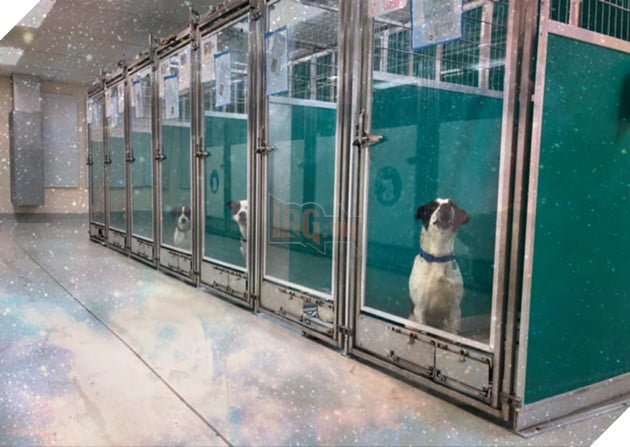 Kế hoạch &quot;Đột nhập V&#249;ng 51 tuyệt mật&quot; đi&#234;n rồ v&#224; ngớ ngẩn của cư d&#226;n mạng Mỹ bất ngờ đem lại một c&#225;i kết vi&#234;n m&#227;n đến kh&#243; tin - Ảnh 2.