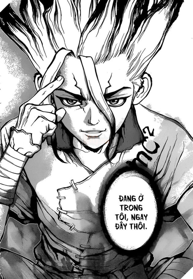 Dr.Stone là gì - Hành trình của những cô cậu học sinh cùng giải cứu thế giới bằng khoa học 4