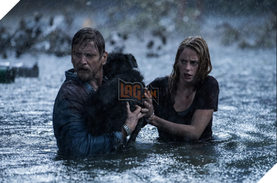 Điểm danh 5 bộ phim siêu bão kinh hoàng trên màn ảnh 5