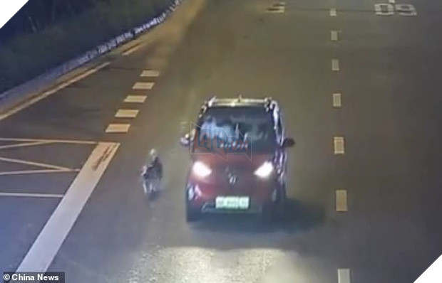 Chỉ vì ô tô hết chỗ, nữ tài xế kéo chú chó chạy theo xe suốt quãng đường dài khiến MXH phẫn nộ - Ảnh 1.