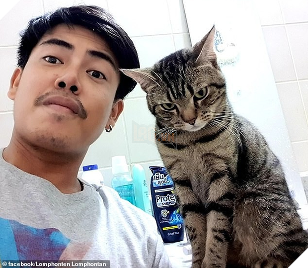 Clip: Boss mèo thần đồng giơ vuốt tắt gọn chuông báo thức khiến sen sáng nào cũng trễ làm mà nói chẳng ai tin - Ảnh 4.