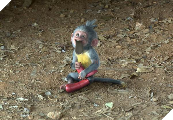 “Nữ anh hùng nhí” Dora “lột xác”, bước ra màn ảnh rộng trong phiên bản live-action mới 5