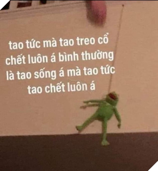 Tổng hợp ảnh Meme Tao Thấy Mà Tao Tức hài hước đang nổi trội trên mạng xã hội 8