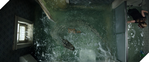 Khám phá 5 sự thật về loài cá sấu châu Mỹ trước khi xem Địa đạo cá sấu tử thần 3