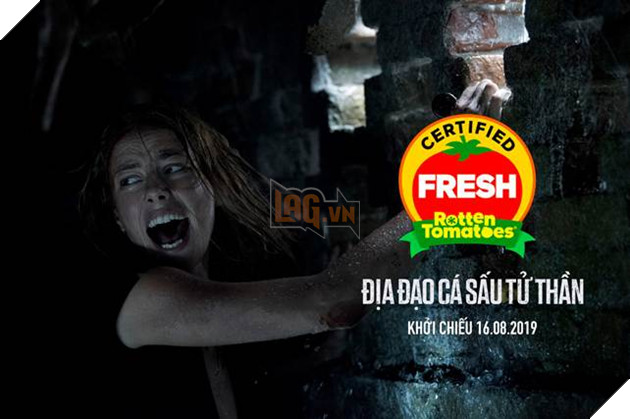 Khám phá 5 sự thật về loài cá sấu châu Mỹ trước khi xem Địa đạo cá sấu tử thần 4