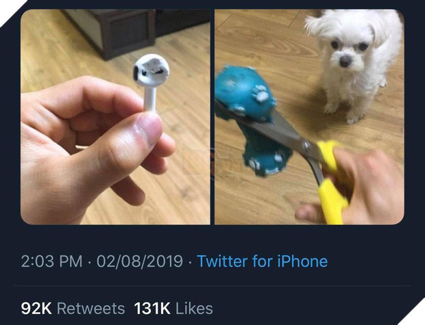 Tức giận chó cưng cắn nát AirPod, sen ngố ra tay dằn mặt khiến boss chỉ biết đứng hình 5 giây - Ảnh 1.