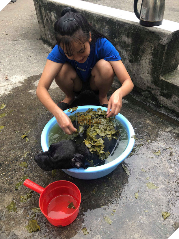 Chủ của chú chó trong clip húc đổ mâm cơm đang hot nhất MXH: Lúc đấy thật sự chán nhưng vẫn buồn cười - Ảnh 4.