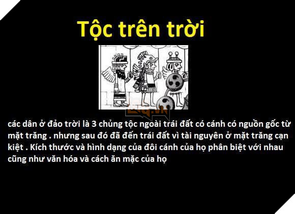 Tổng hợp những chủng tộc từng xuất hiện trong One Piece từ trước đến nay 11