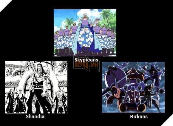 Tổng hợp những chủng tộc từng xuất hiện trong One Piece từ trước đến nay 12