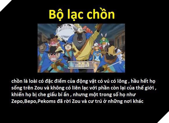 Tổng hợp những chủng tộc từng xuất hiện trong One Piece từ trước đến nay 13