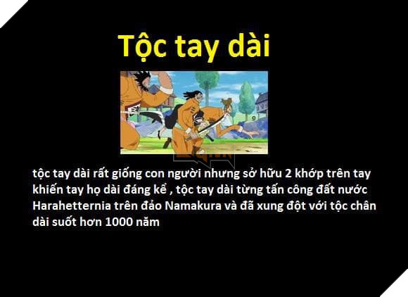 Tổng hợp những chủng tộc từng xuất hiện trong One Piece từ trước đến nay 14