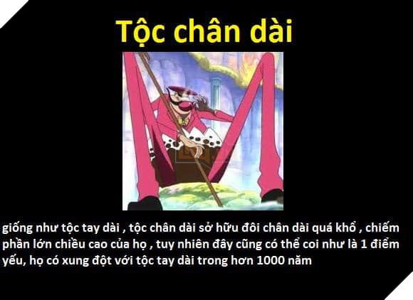 Tổng hợp những chủng tộc từng xuất hiện trong One Piece từ trước đến nay 15