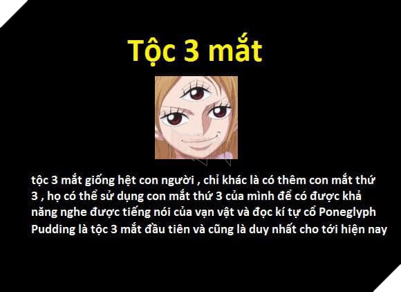 Tổng hợp những chủng tộc từng xuất hiện trong One Piece từ trước đến nay 16