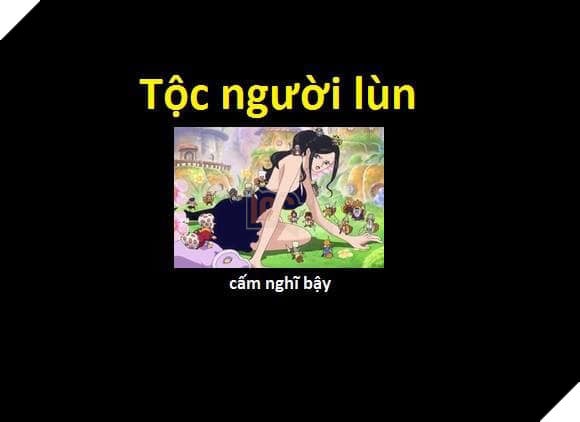 Tổng hợp những chủng tộc từng xuất hiện trong One Piece từ trước đến nay 17