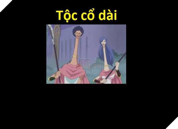 Tổng hợp những chủng tộc từng xuất hiện trong One Piece từ trước đến nay 18