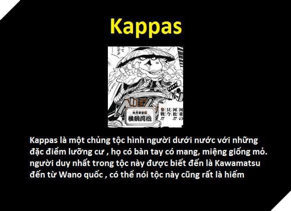 Tổng hợp những chủng tộc từng xuất hiện trong One Piece từ trước đến nay 19