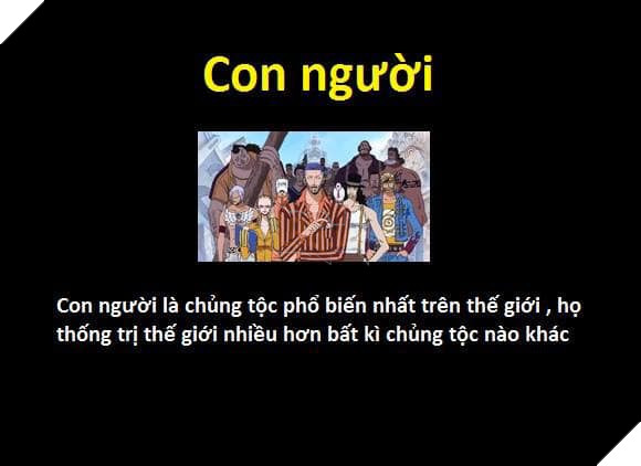Tổng hợp những chủng tộc từng xuất hiện trong One Piece từ trước đến nay 2