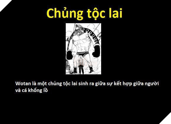 Tổng hợp những chủng tộc từng xuất hiện trong One Piece từ trước đến nay 21