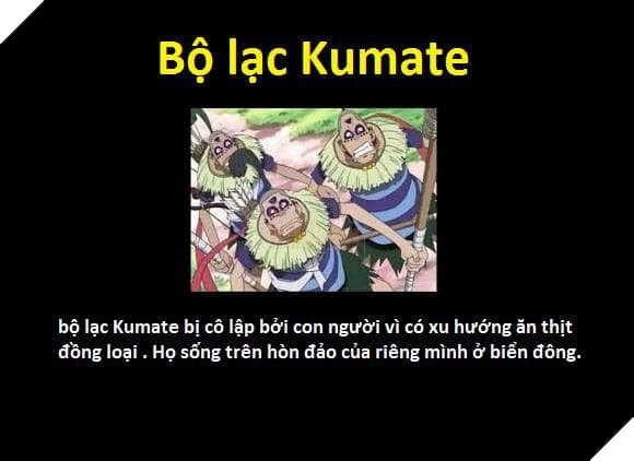 Tổng hợp những chủng tộc từng xuất hiện trong One Piece từ trước đến nay 3