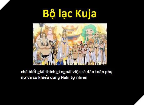 Tổng hợp những chủng tộc từng xuất hiện trong One Piece từ trước đến nay 4