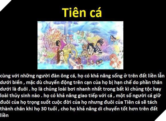 Tổng hợp những chủng tộc từng xuất hiện trong One Piece từ trước đến nay 7