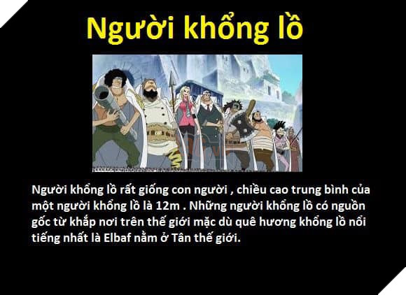 Tổng hợp những chủng tộc từng xuất hiện trong One Piece từ trước đến nay 8