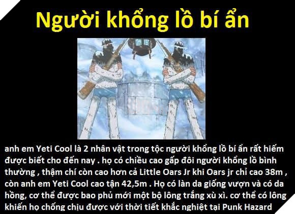 Tổng hợp những chủng tộc từng xuất hiện trong One Piece từ trước đến nay 10