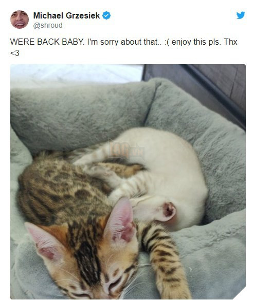 Shroud bị hack tài khoản Twitter, bị dọa tung ảnh nóng của cô bạn gái của anh 4