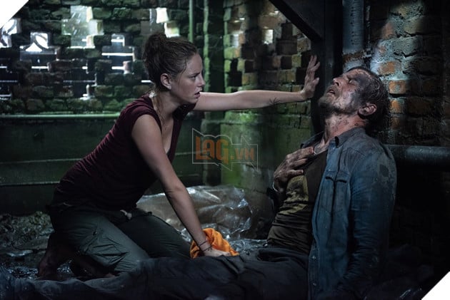 Crawl: Địa đạo cá sấu tử thần - Đỉnh cao của dòng phim đấu tranh sinh tồn 7