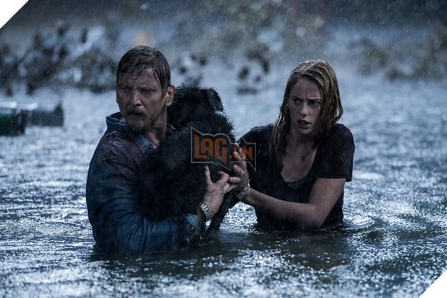 Crawl: Địa đạo cá sấu tử thần - Đỉnh cao của dòng phim đấu tranh sinh tồn 10