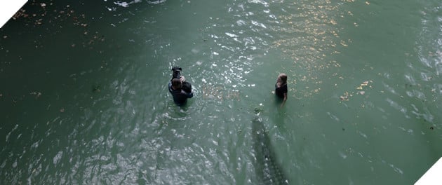 Crawl: Địa đạo cá sấu tử thần - Đỉnh cao của dòng phim đấu tranh sinh tồn 5