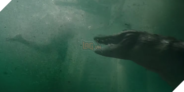 Crawl: Địa đạo cá sấu tử thần - Đỉnh cao của dòng phim đấu tranh sinh tồn 3