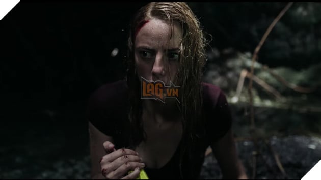 Crawl: Địa đạo cá sấu tử thần - Đỉnh cao của dòng phim đấu tranh sinh tồn