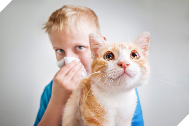 Y&#234;u m&#232;o đến đi&#234;n dại m&#224; ở gần l&#224; ngứa hết cả người? Bi kịch của c&#225;c &quot;sen&quot; nay sắp chấm dứt rồi - Ảnh 1.