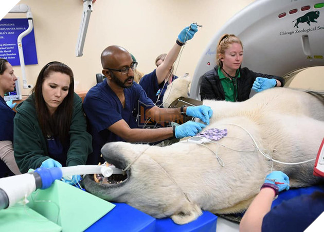 Khi bé Na và bạn bè đi chụp CT: Máu mặt như chúa sơn lâm hay nguy hiểm như báo cũng phải cúp đuôi ngoan ngoãn nghe lời bác sĩ 10