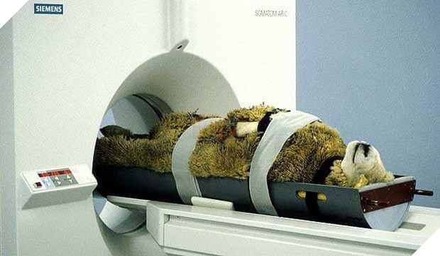 Khi bé Na và bạn bè đi chụp CT: Máu mặt như chúa sơn lâm hay nguy hiểm như báo cũng phải cúp đuôi ngoan ngoãn nghe lời bác sĩ 5