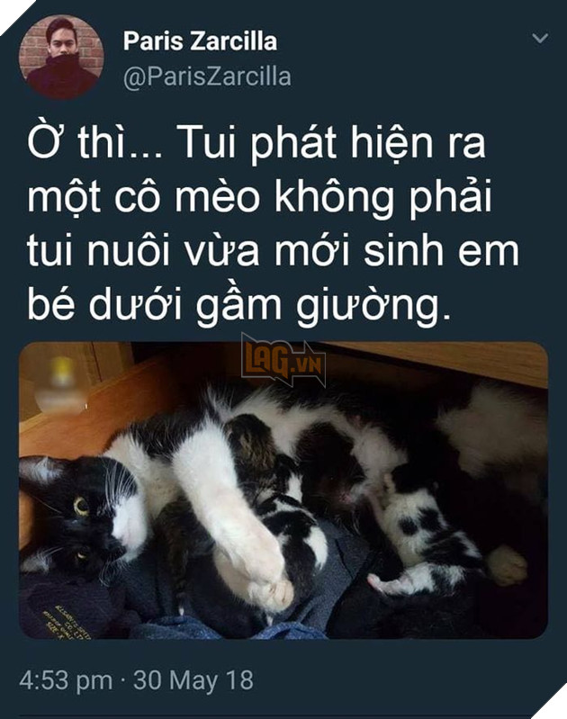 Hình ảnh chia sẻ của chàng trai Paris Zarcilla.